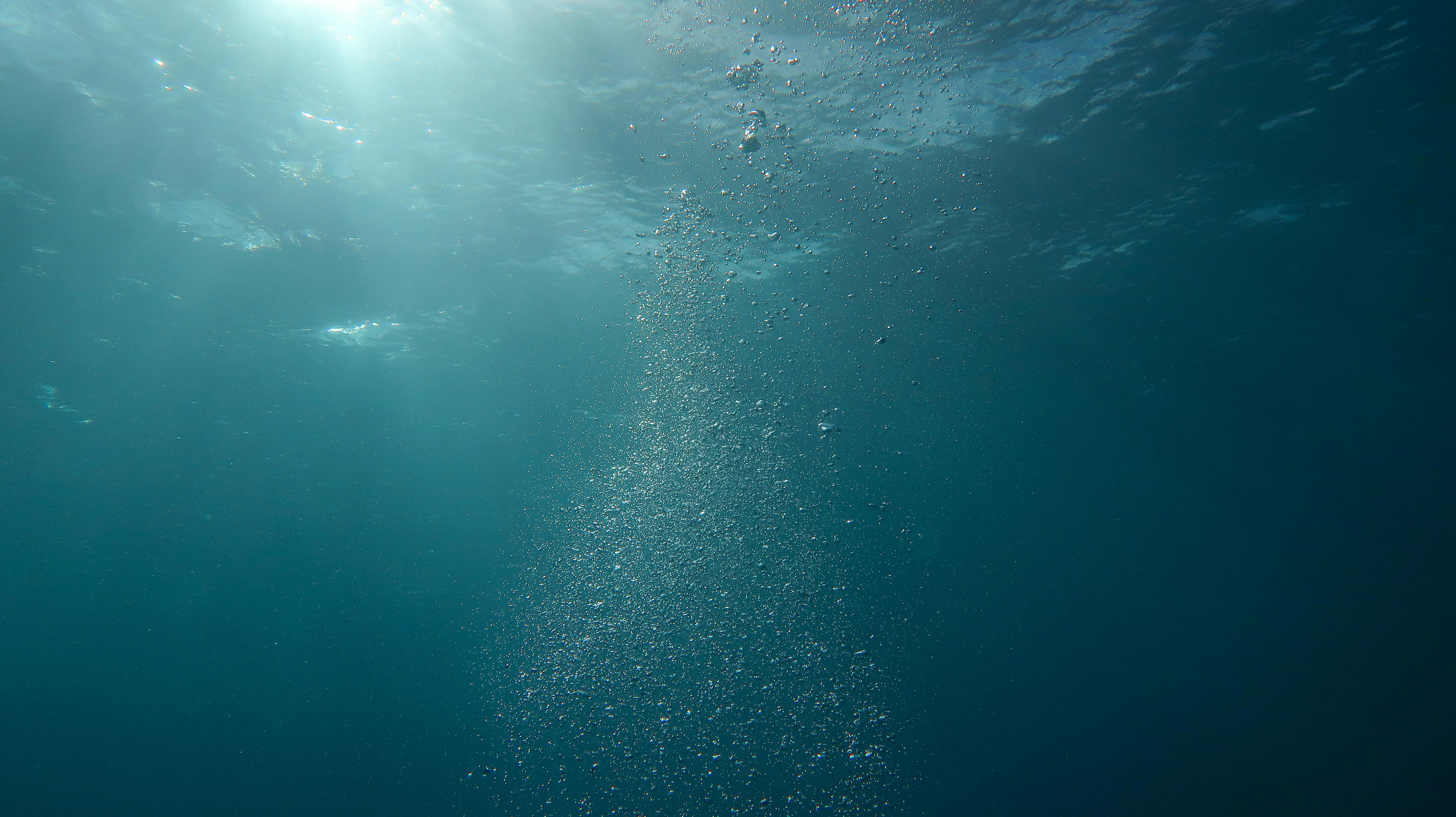 Foto de Berend de Kort: https://www.pexels.com/pt-br/foto/foto-de-bubbles-underwater-1452701/